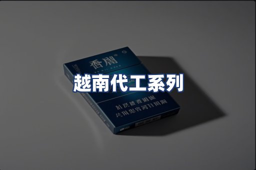 越南代工系列